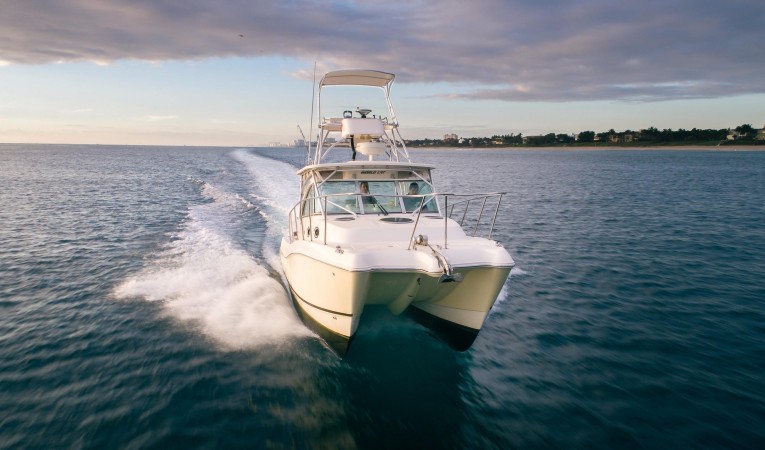 32 World Cat Bow Running