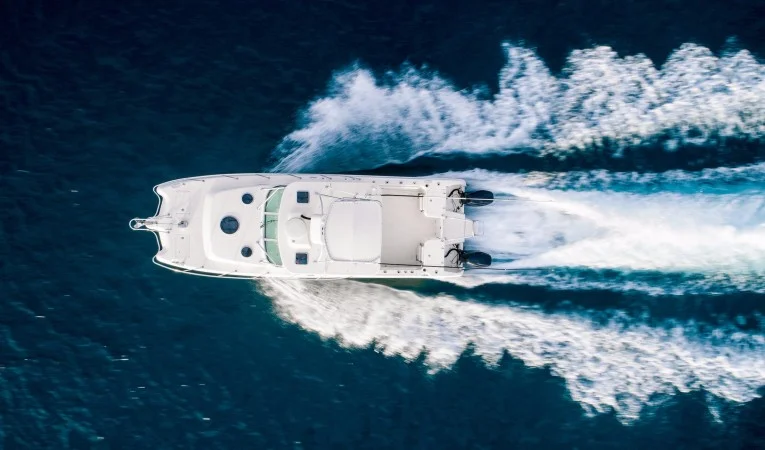 32 World Cat Overhead