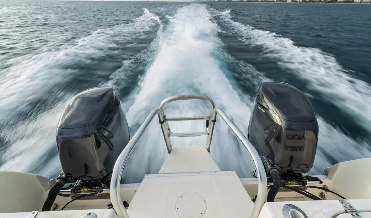 32 World Cat Suzukis and Swim Ladder