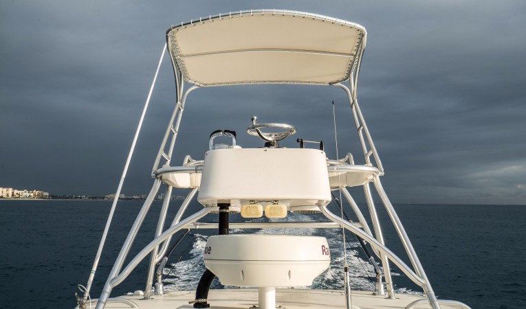 32 World Cat Tower 1