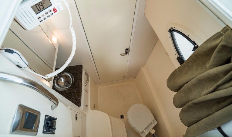 32 World Cat Stand-Up Head