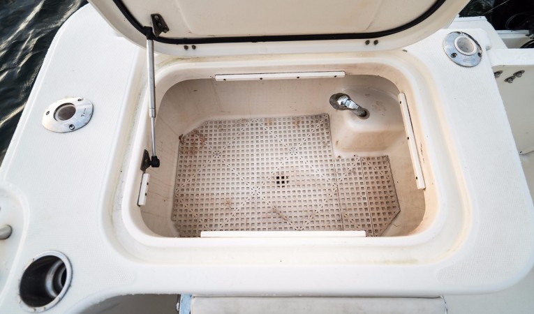 32 World Cat Starboard Storage