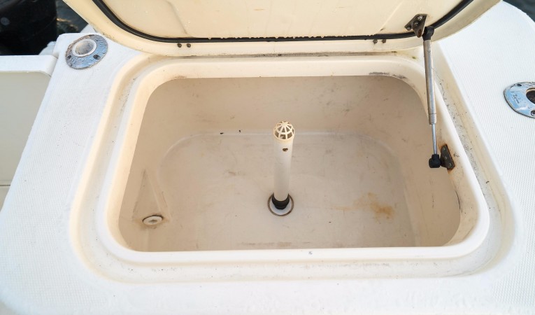 32 World Cat Port Livewell