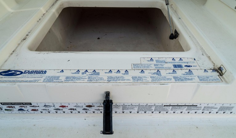 32 World Cat Fishbox