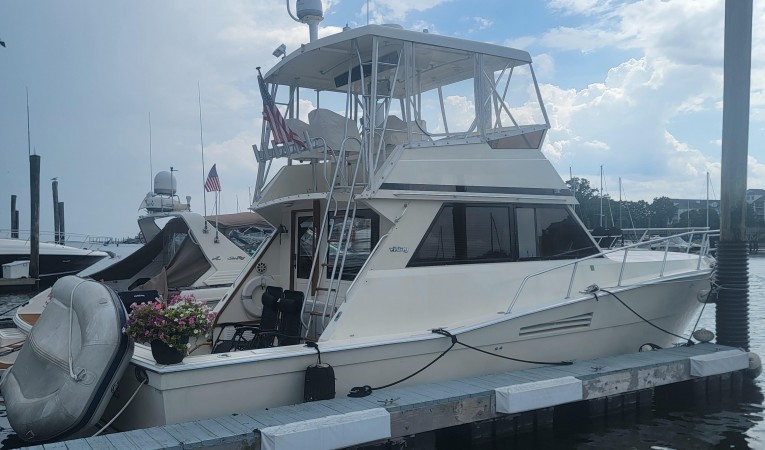 41 Viking 