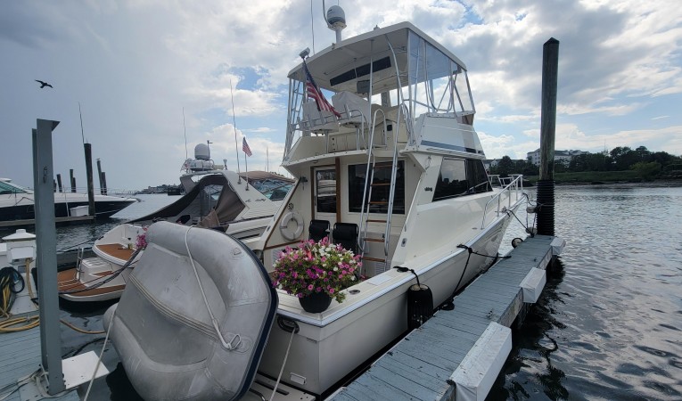 41 Viking 