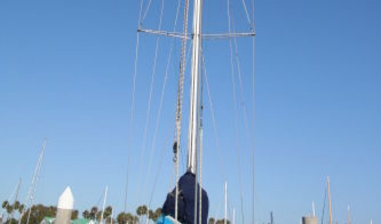 41 Sydney Tall Carbon Rig