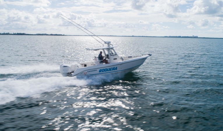 29 Everglades 