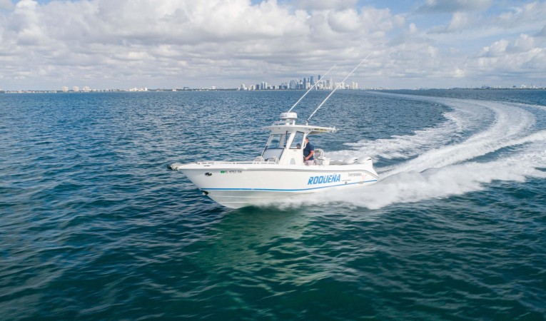 29 Everglades 