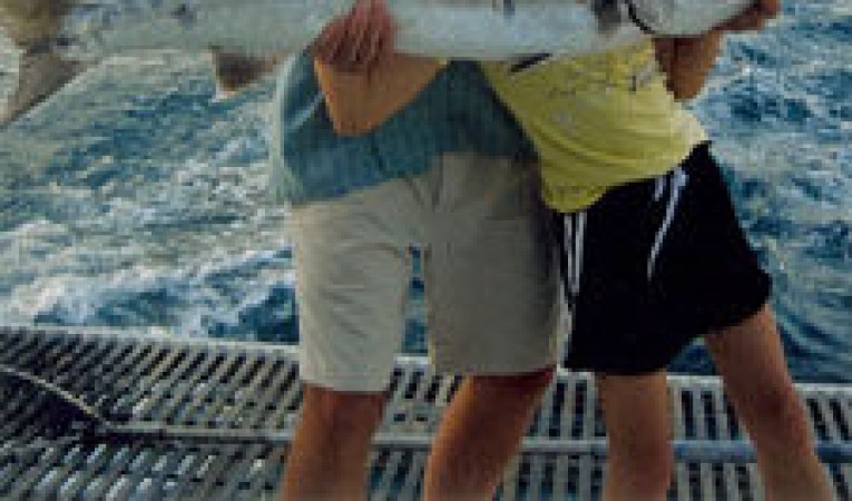 65 Woodwind Kurt Hughes Custom Catamaran Successful Catch