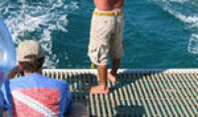 65 Woodwind Kurt Hughes Custom Catamaran Trolling off Dive Platform