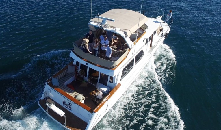 56 Navigator 