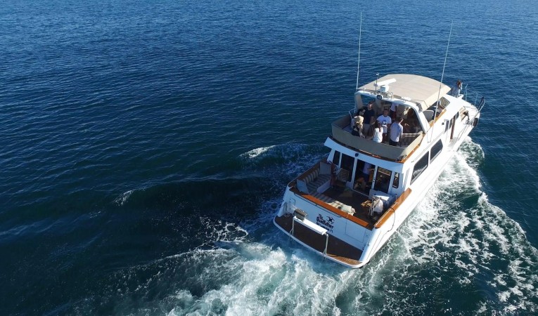 56 Navigator