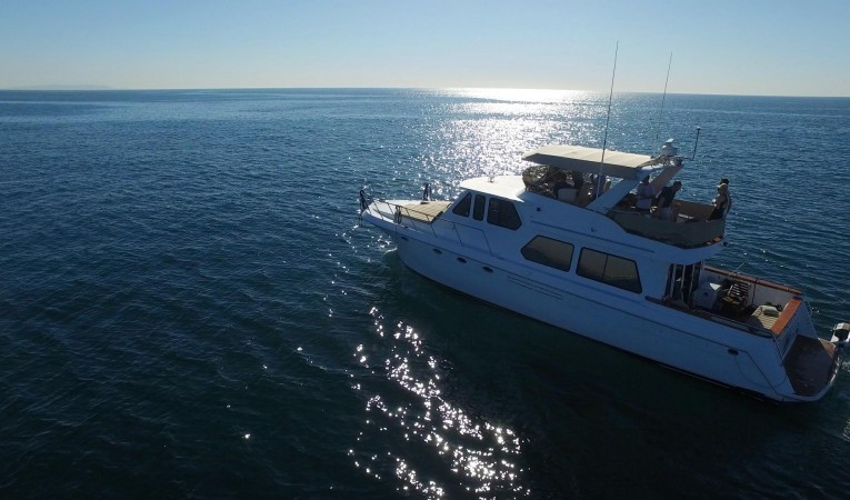 56 Navigator