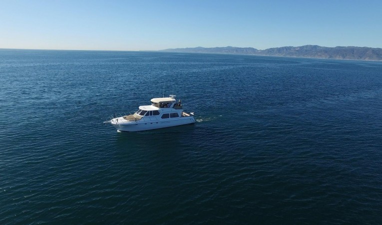 56 Navigator