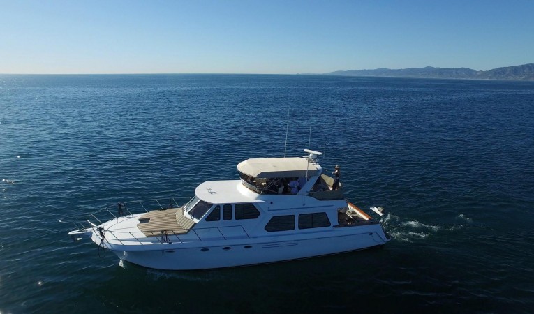 56 Navigator