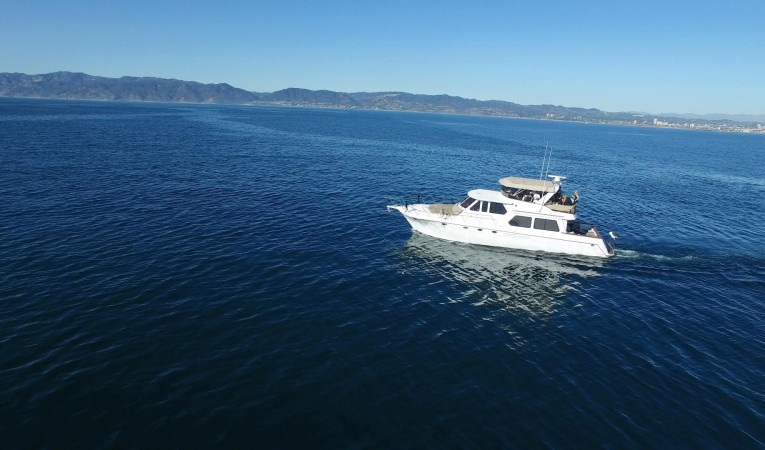 56 Navigator