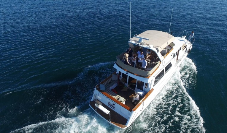 56 Navigator