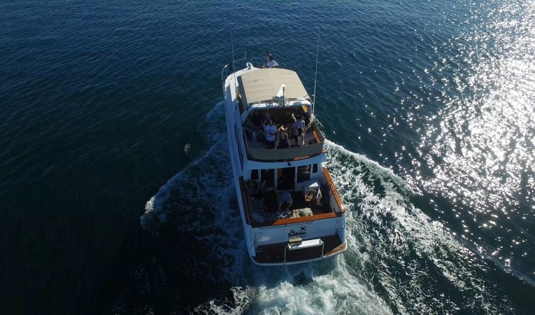 56 Navigator