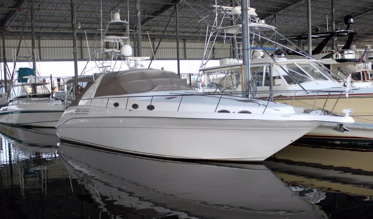 45 Sea Ray 
