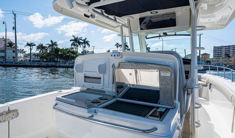 33 Boston Whaler 