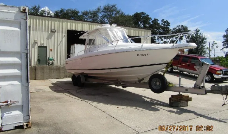 31 Intrepid 