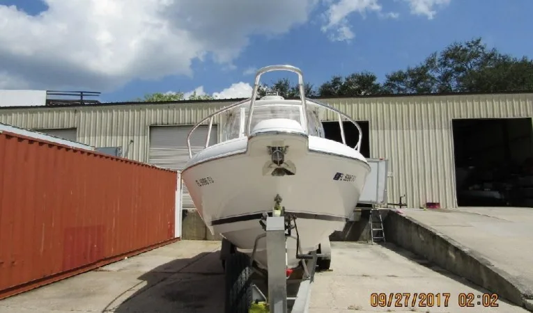 31 Intrepid 