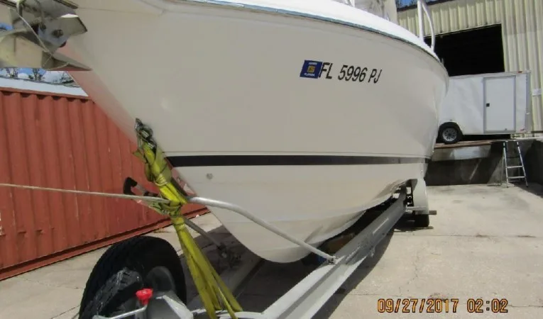 31 Intrepid 