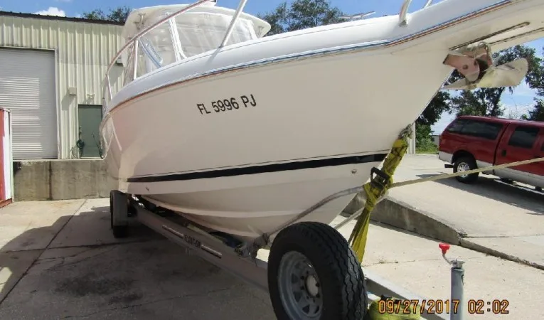 31 Intrepid 