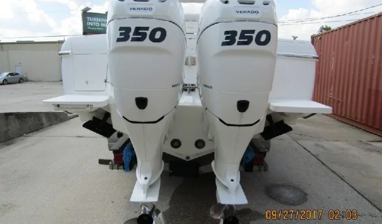 31 Intrepid 