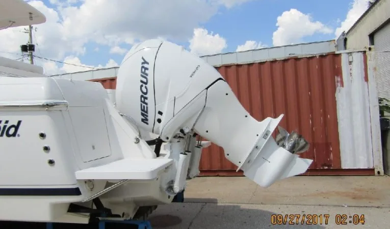 31 Intrepid 