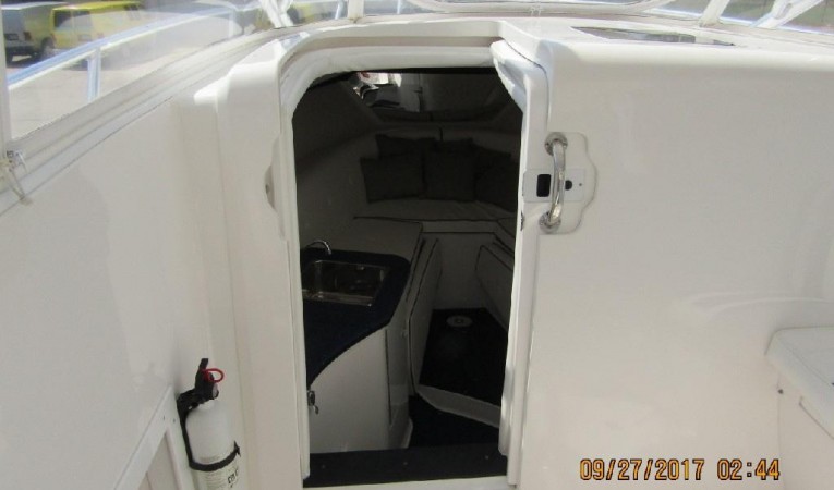 31 Intrepid 