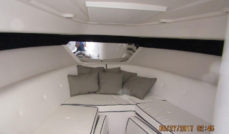 31 Intrepid 