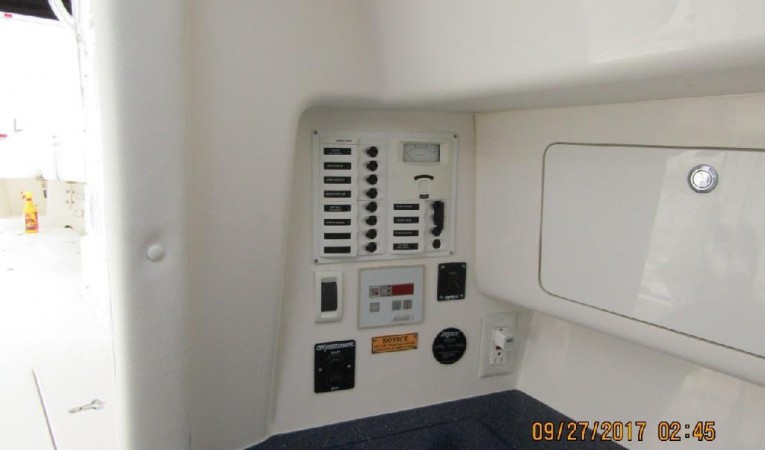 31 Intrepid 