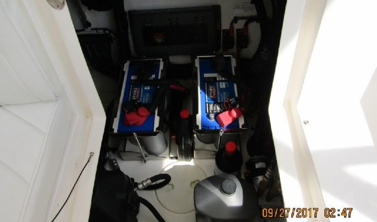 31 Intrepid 