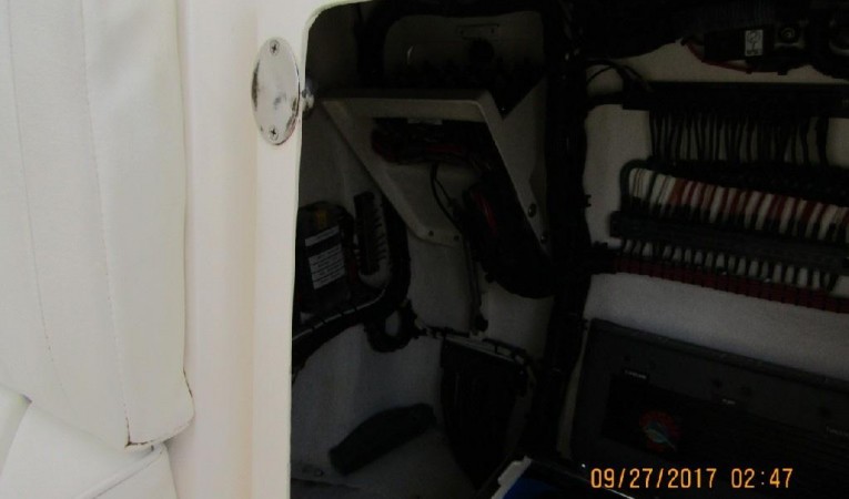 31 Intrepid 