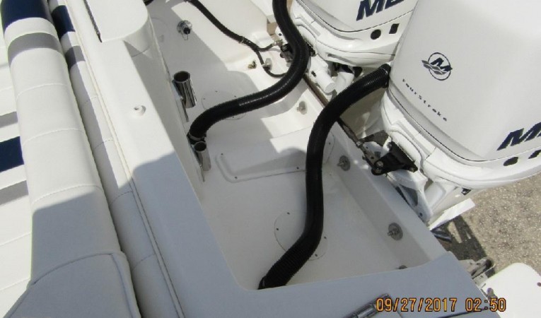 31 Intrepid 