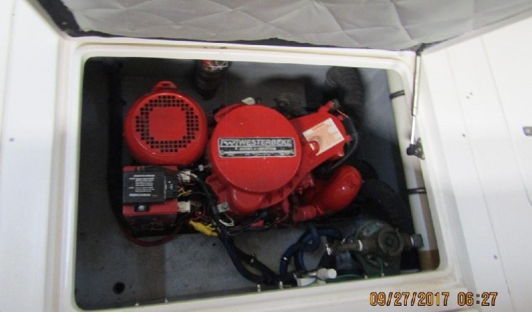 31 Intrepid 