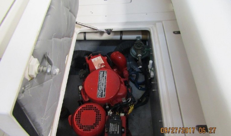 31 Intrepid 