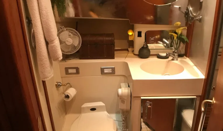 39 Mainship Head separate stall shower  has ensuite access to Master