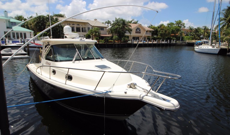 31 Pursuit Bow View