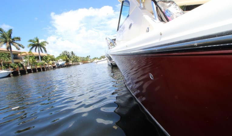 31 Pursuit Fresh Detail