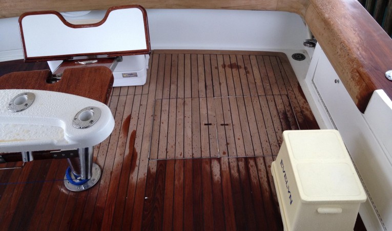 47 Buddy Davis Port side Cockpit