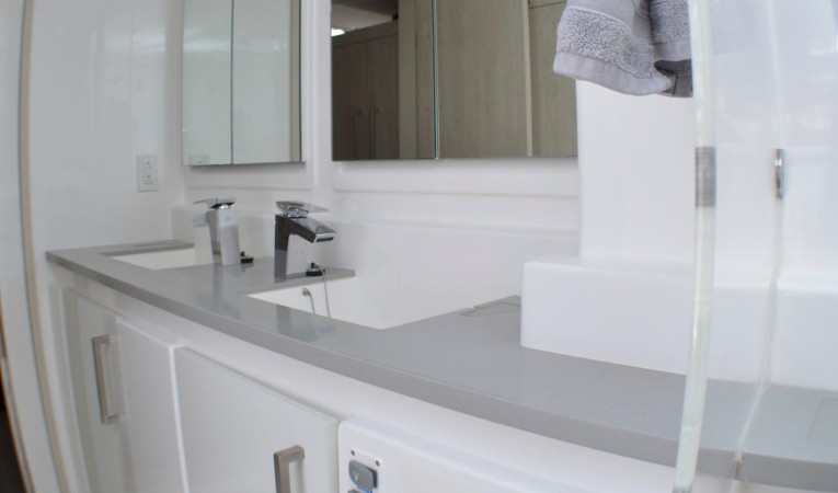 58 Leopard Owner head sink