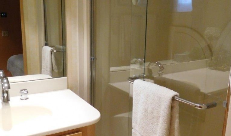 100 Broward Guest Shower