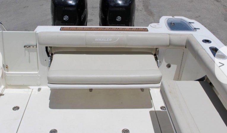 28 Boston Whaler 