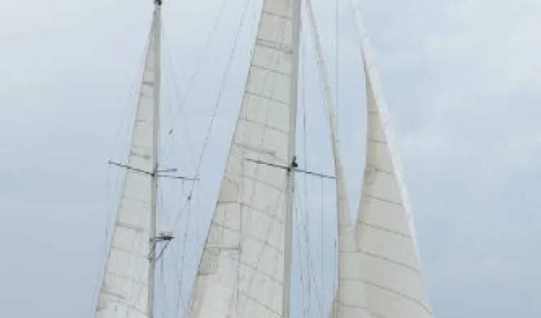 54 Ta Chiao Full Sails