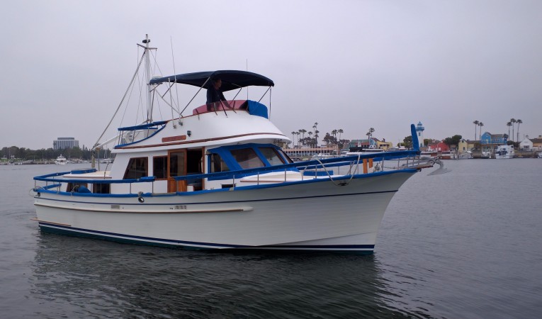43 Albin 