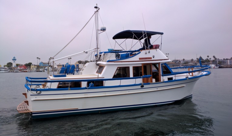 43 Albin 
