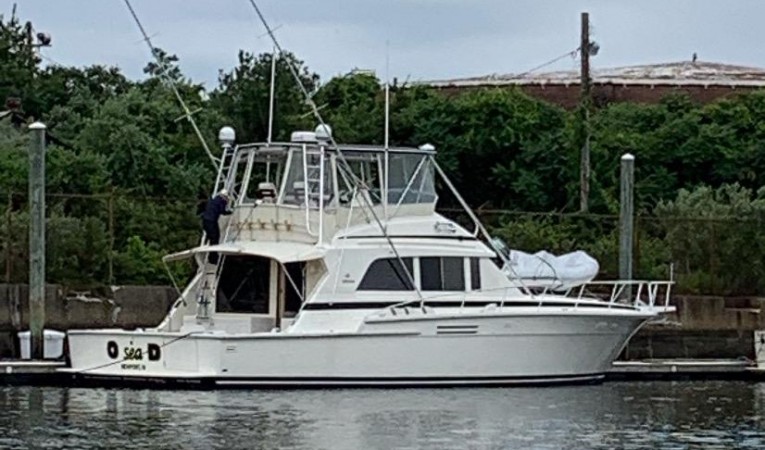 54 Bertram 